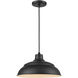 R Series 1 Light 14 inch Satin Black Indoor Pendant Ceiling Light